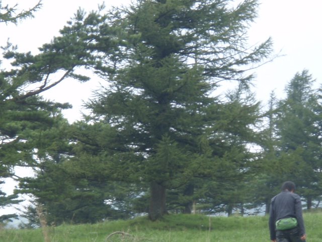 [P9230094.JPG]