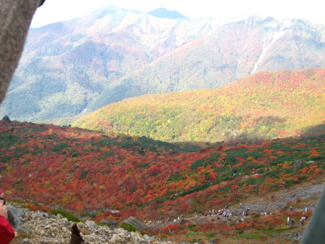 [IMG_0984.JPG]