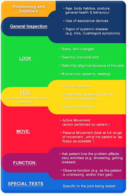 An Introduction to the Musculoskeletal Clinical Exam - IVLine rheumatology pain diagram 