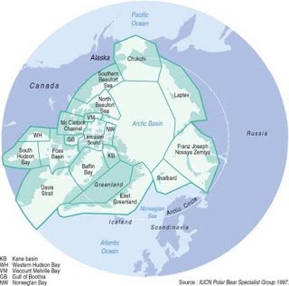 distribution polarbear