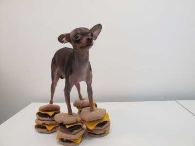 puppy burger