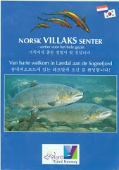 NORSK VILLAKS SENTER