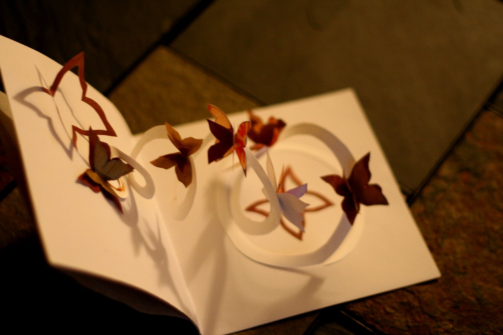[Butterflycard27.JPG]