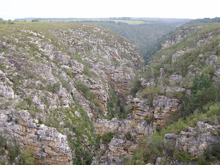 Cañón del Tsitsikamma. Parque Nacional Tsitsikamma