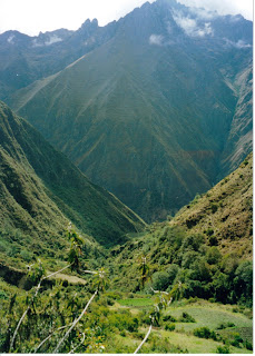 Paisaje ecológico