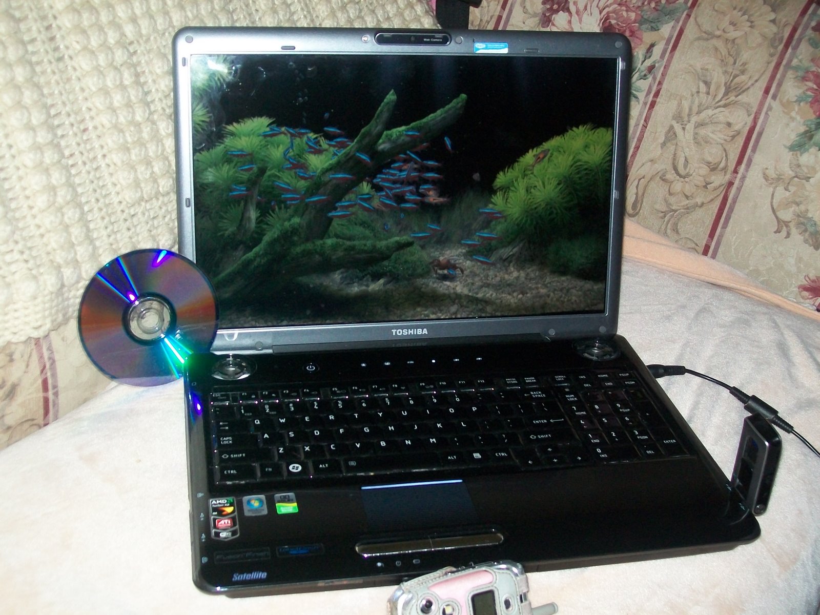 [100_0401.JPG]