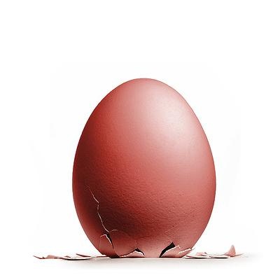 Egg "de Colón" El+huevo+de+col%C3%B3n