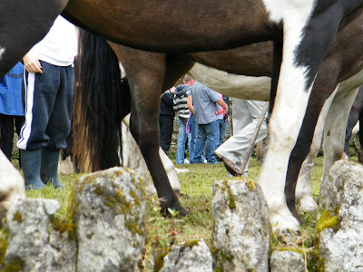 Borris Fair