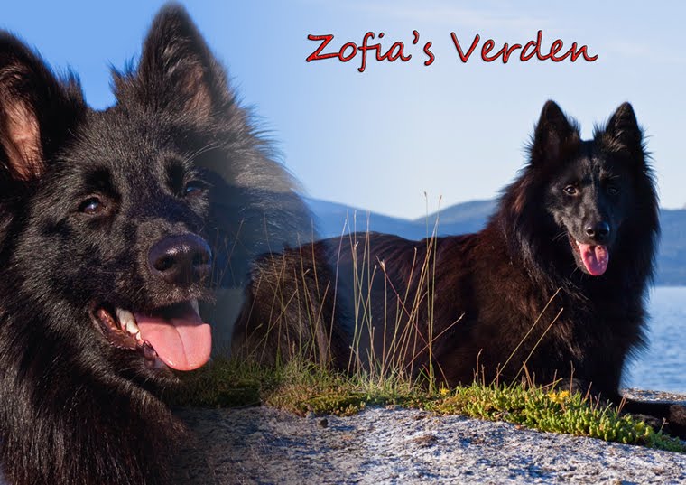 Zofia's Verden