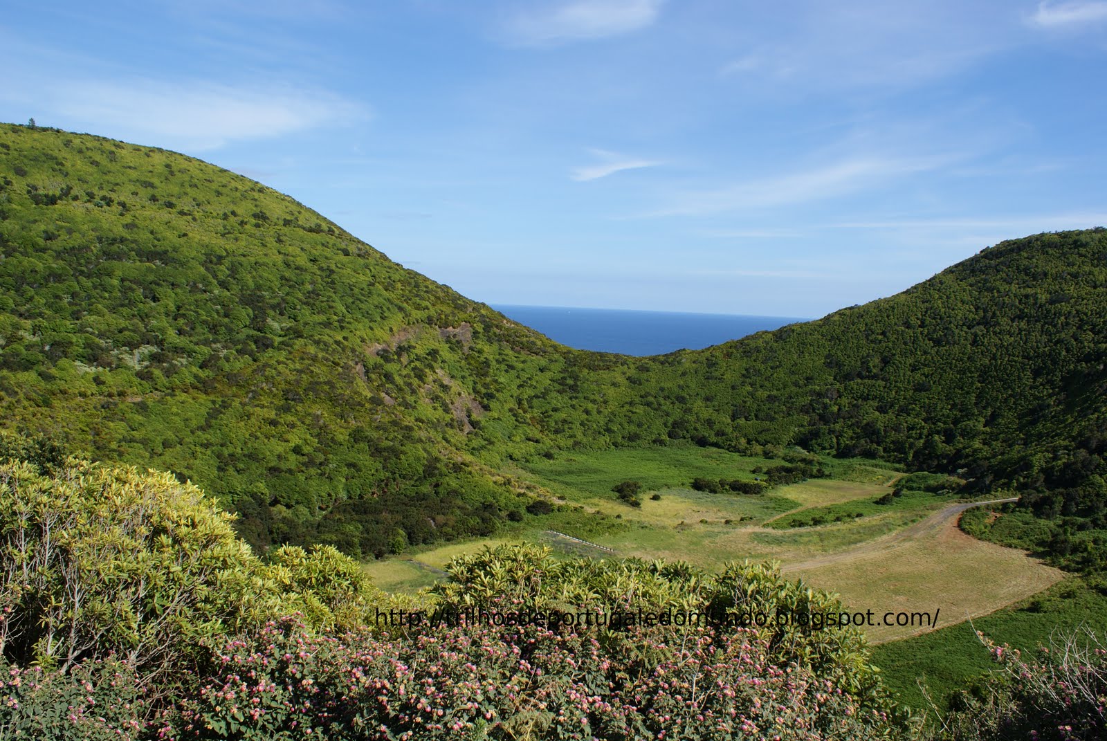 [DSC02265.JPG]