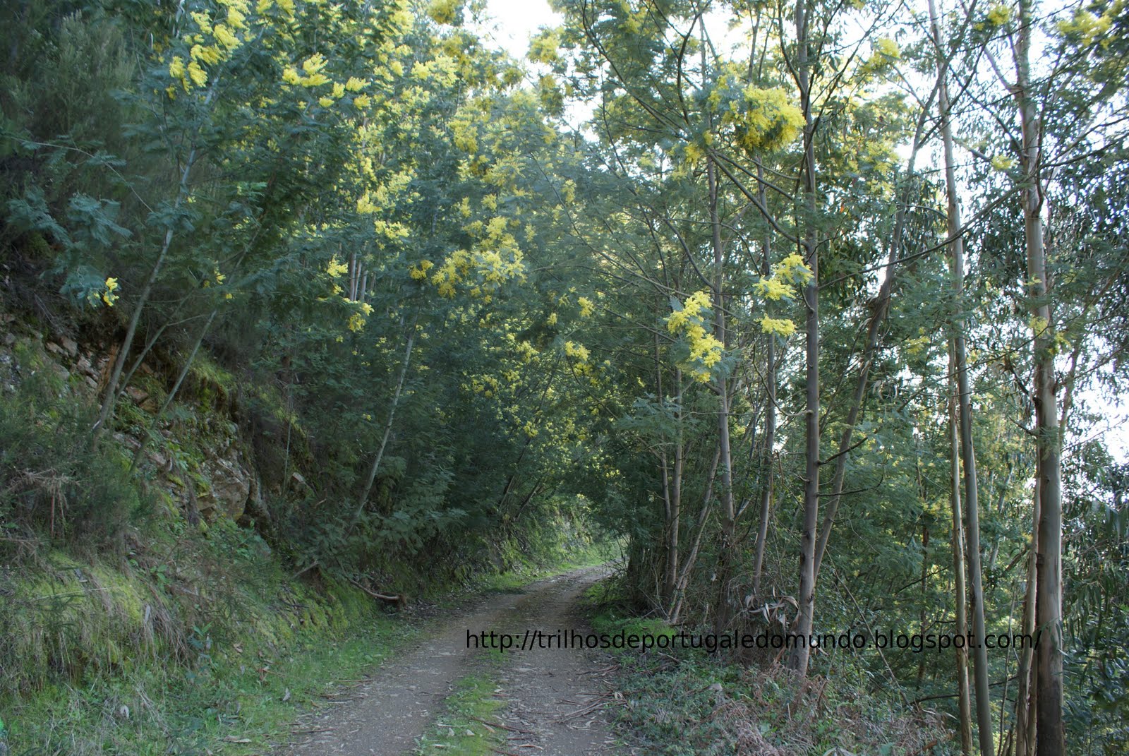 [DSC06280.JPG]
