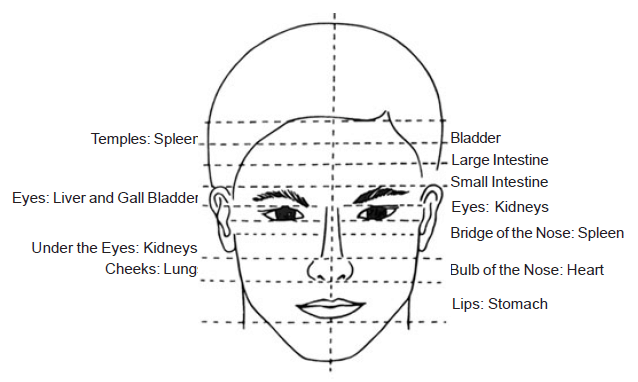 Marma Points Face Chart