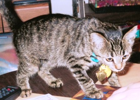 [20048_258271271467_697576467_4460507_2953336_n.jpg]