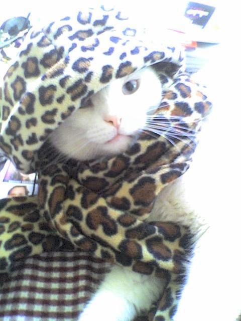 [lucky winterwear.jpg]