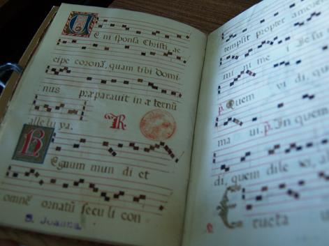 [P2149025.JPG]