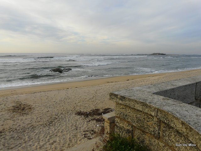 [P1070327-1.JPG]
