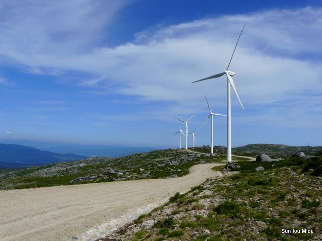 [P1050445-2.JPG]