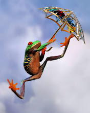 Flying Frog
