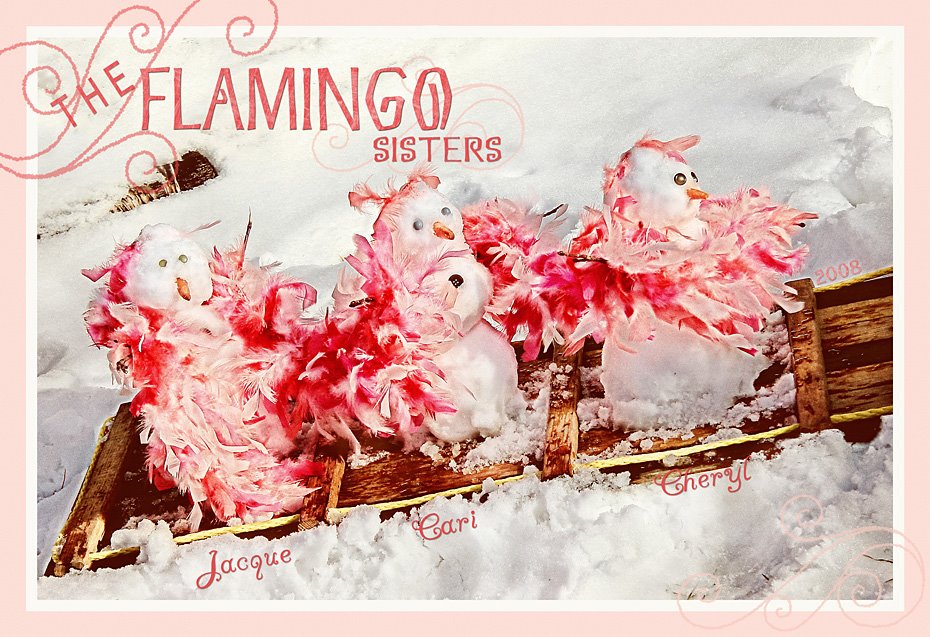 The Flamingo Sisters
