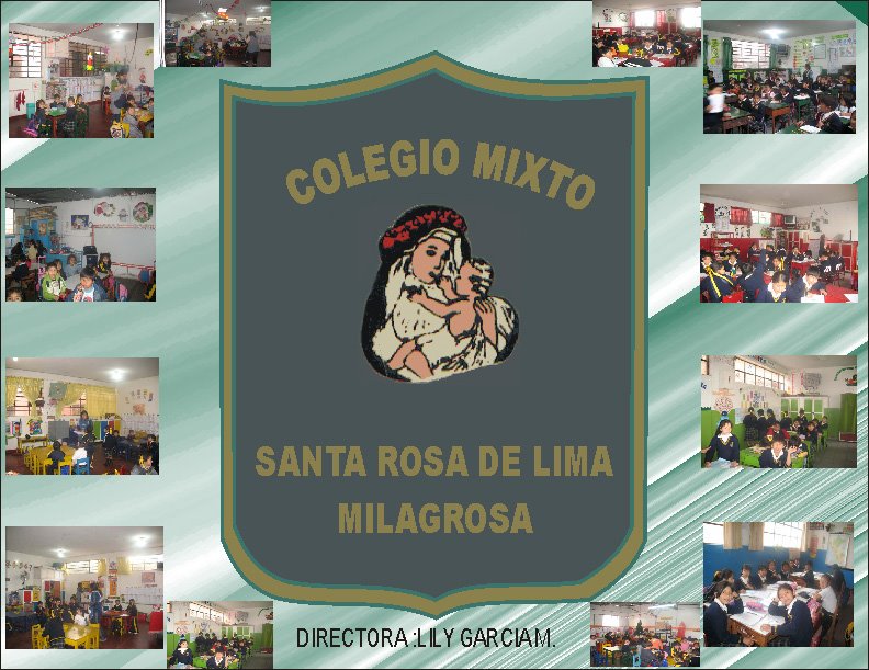 INSTITUCION EDUCATIVA SANTA ROSA DE LIMA LA MILAGROSA