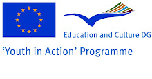 Youth in Action logo