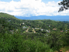 A view of my community
