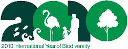 International Year of Biodiversity