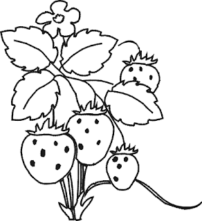 43 riscos de frutas e legumes desenhos e riscos