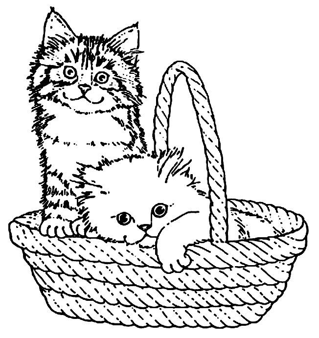 Корзинка с котенком раскраска Корзинка с котенком раскраска