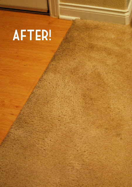 DIY Tricks for Carpet Burn Repair - Carpet Burn Repair Melbourne