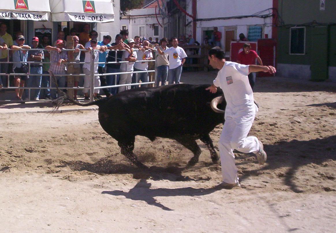 [alcochete2007.JPG]