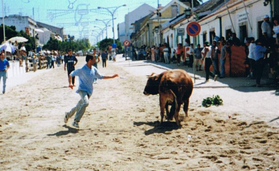 [alcochete1999.JPG]