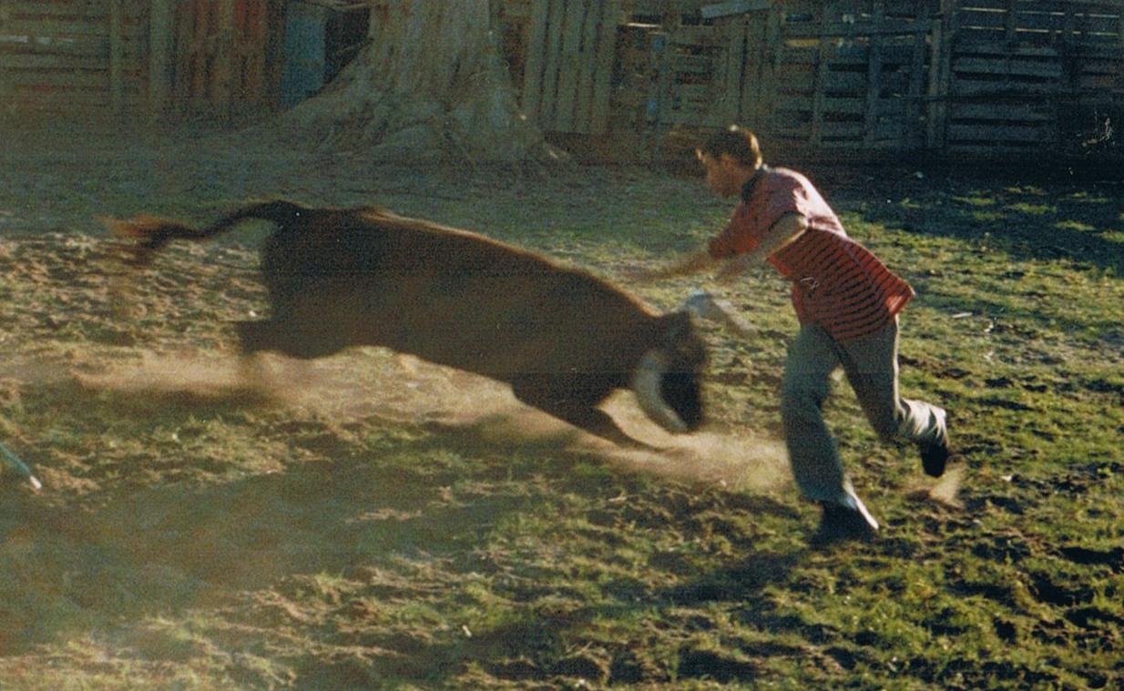 [herd.dabaracha2002.JPG]