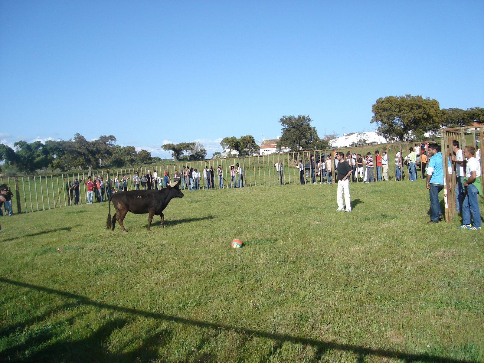 [DSC00371.JPG]