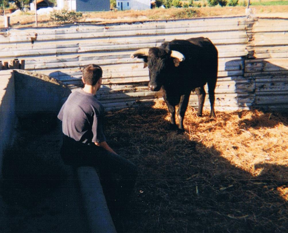 [quintadafontedavaca.JPG]