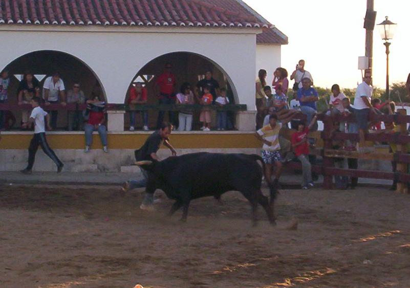 [s.correia.2007.JPG]