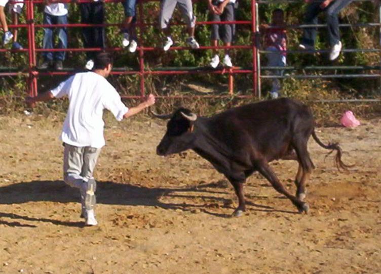 [val+2008.JPG]