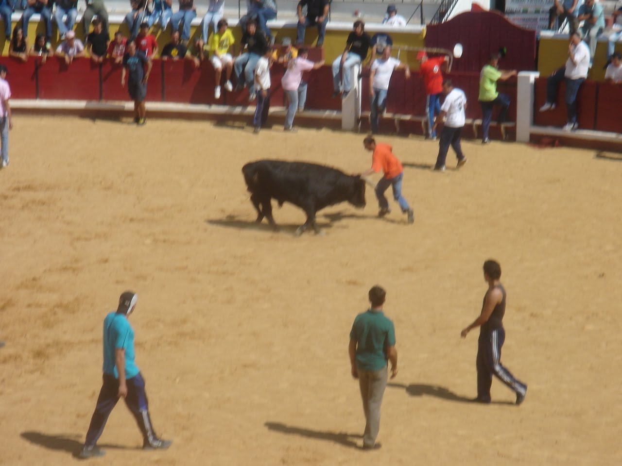 [DSC09395.JPG]