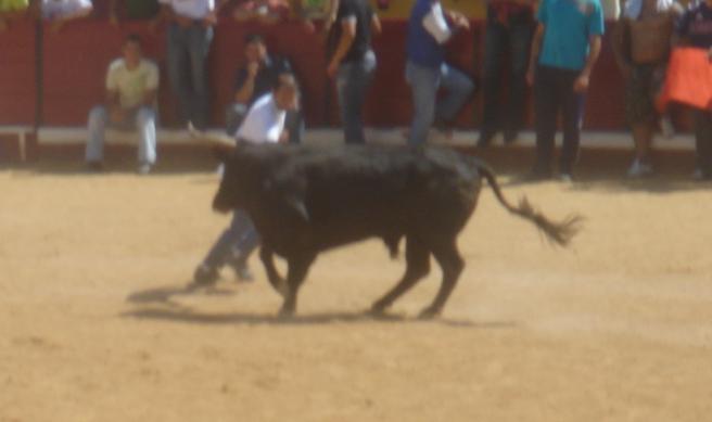 [Sem+título12.JPG]
