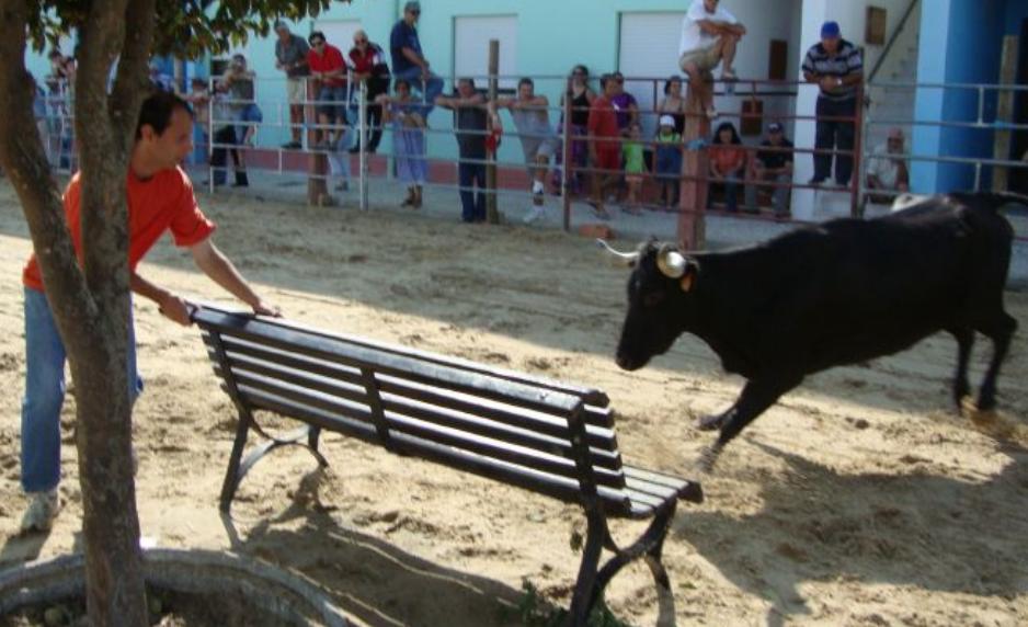 [Sem+títuloxse.JPG]