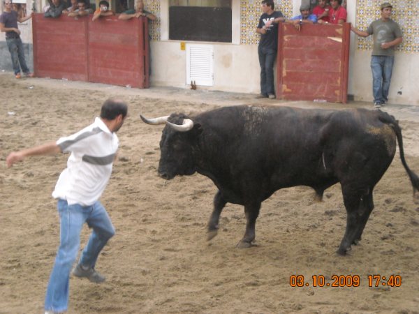 [DSCN2408.JPG]