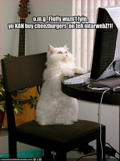 Cat Using Internet
