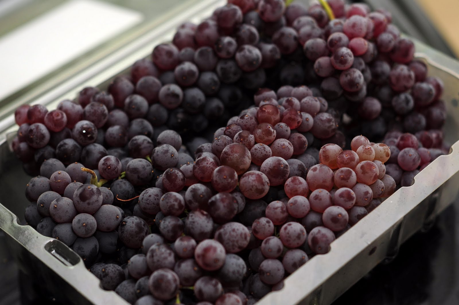 The Tillery Times Black Corinth Table Grapes