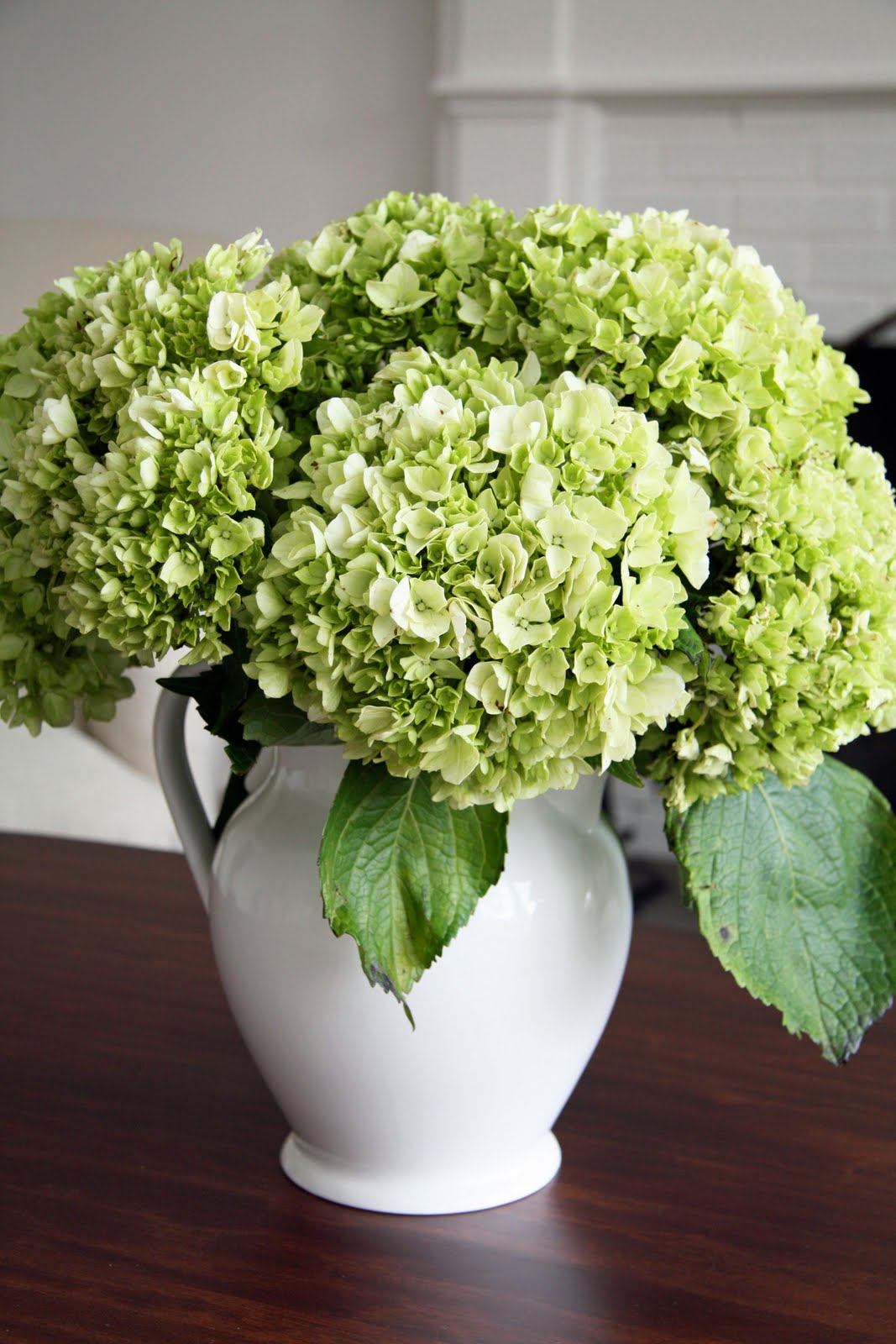 Green Hydrangea Centerpiece : In the fields hydrangea