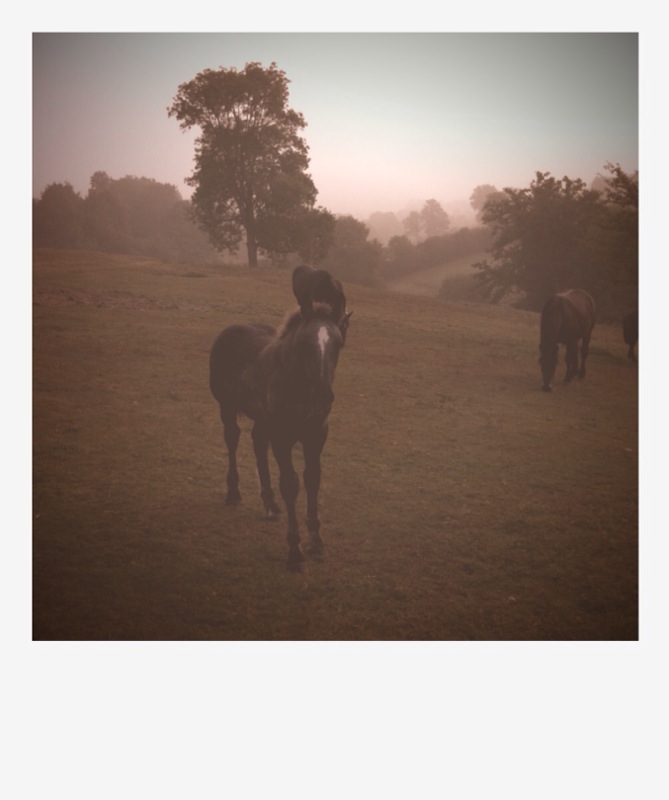 [photo+5-751055.jpg]