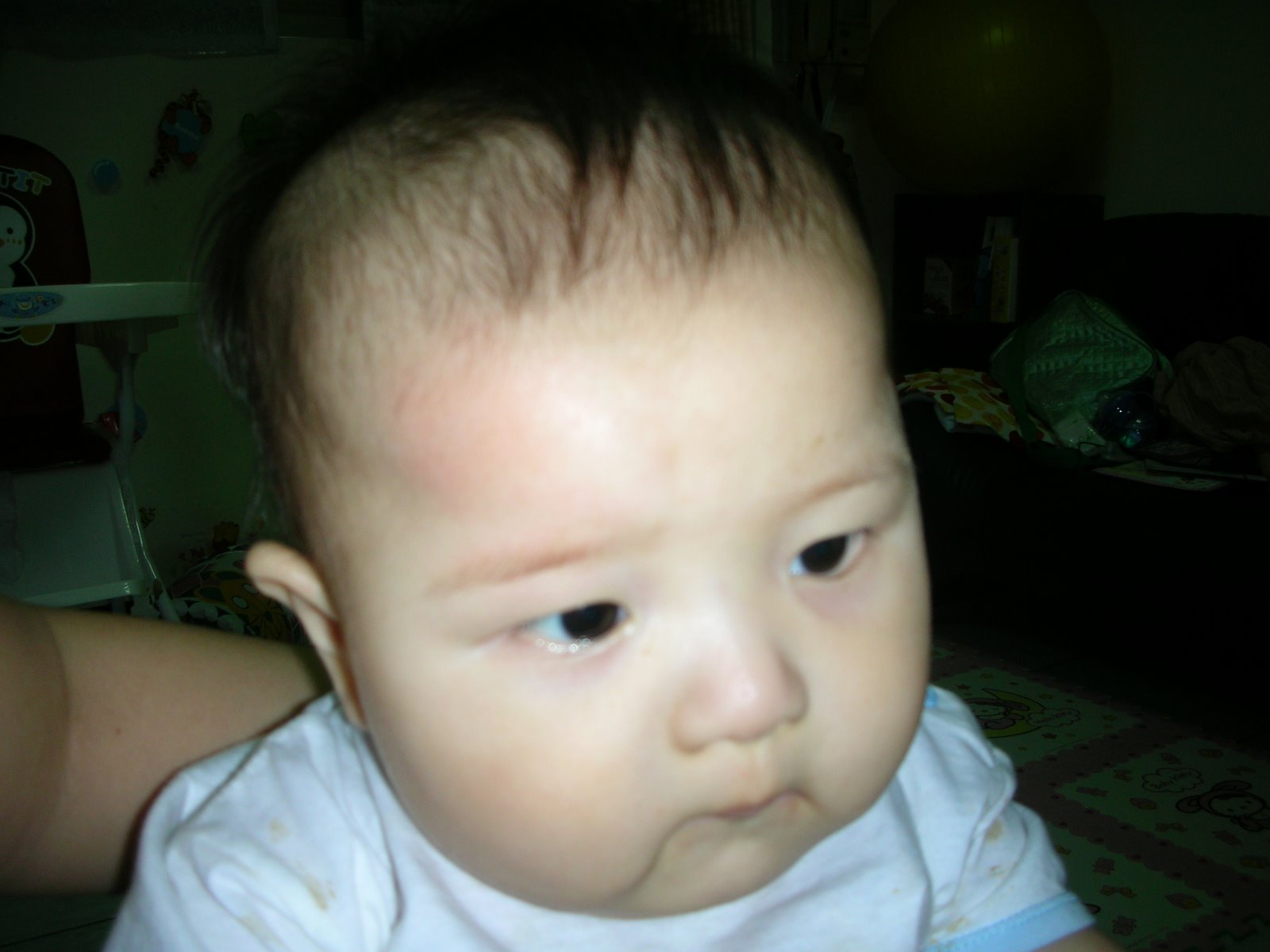 [DSCN8567.JPG]