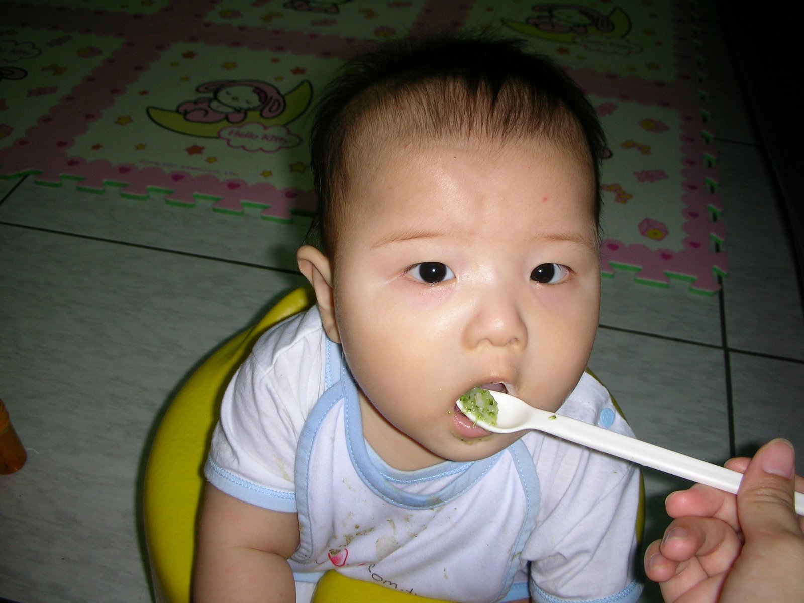 [DSCN8669.JPG]
