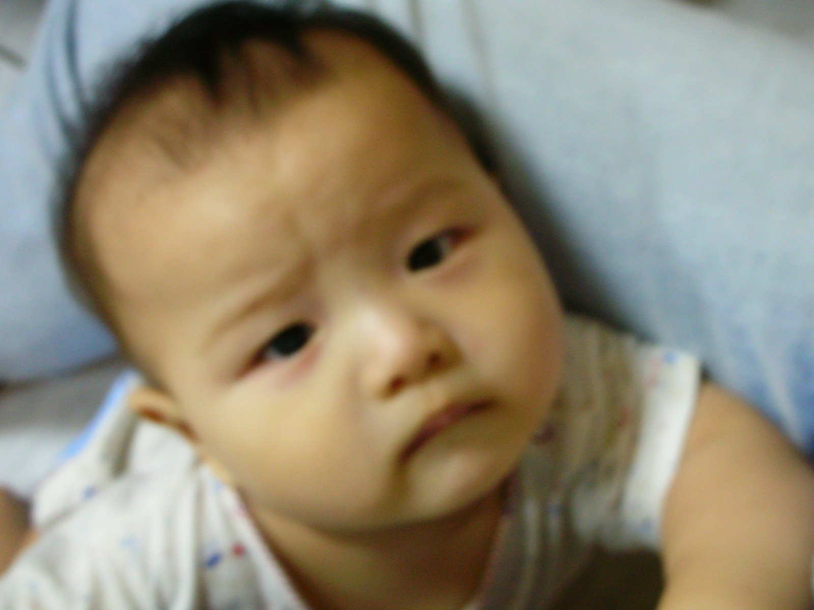 [DSCN8762.JPG]