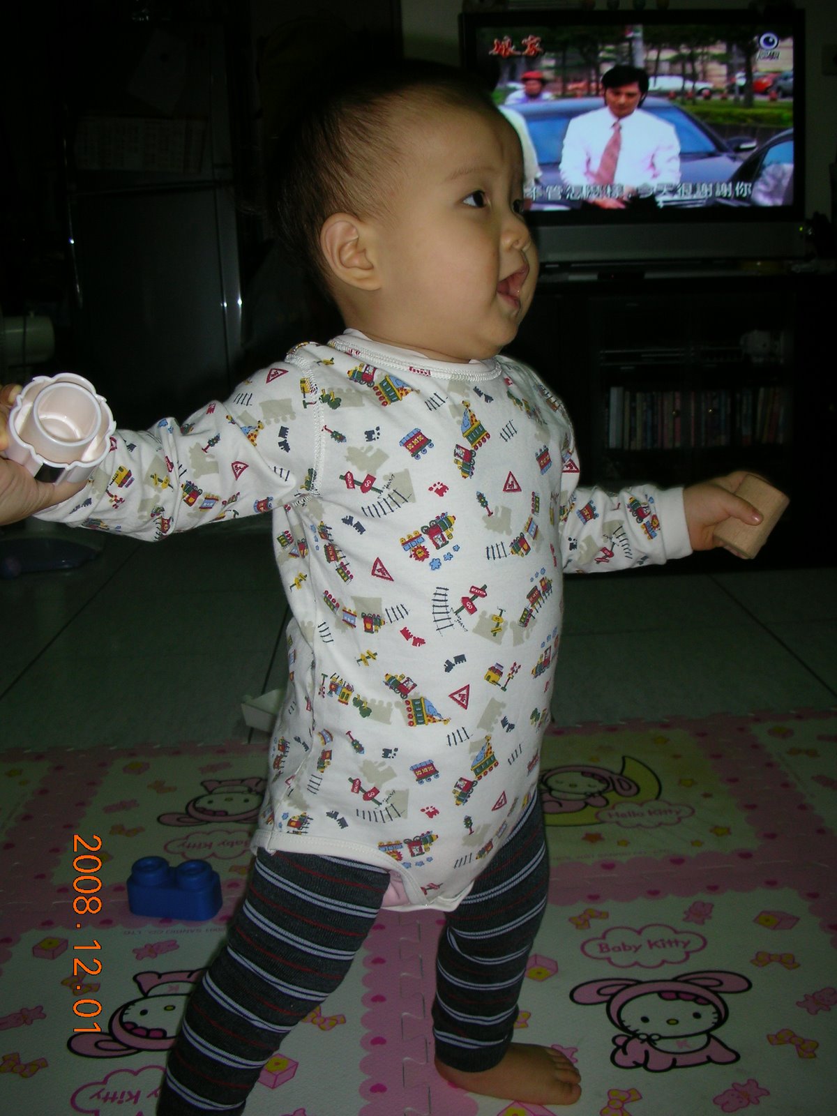 [DSCN9994.JPG]
