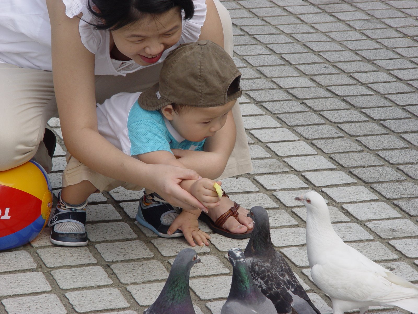 [DSC02163.JPG]